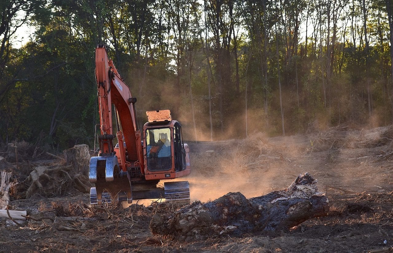 Habitat destruction