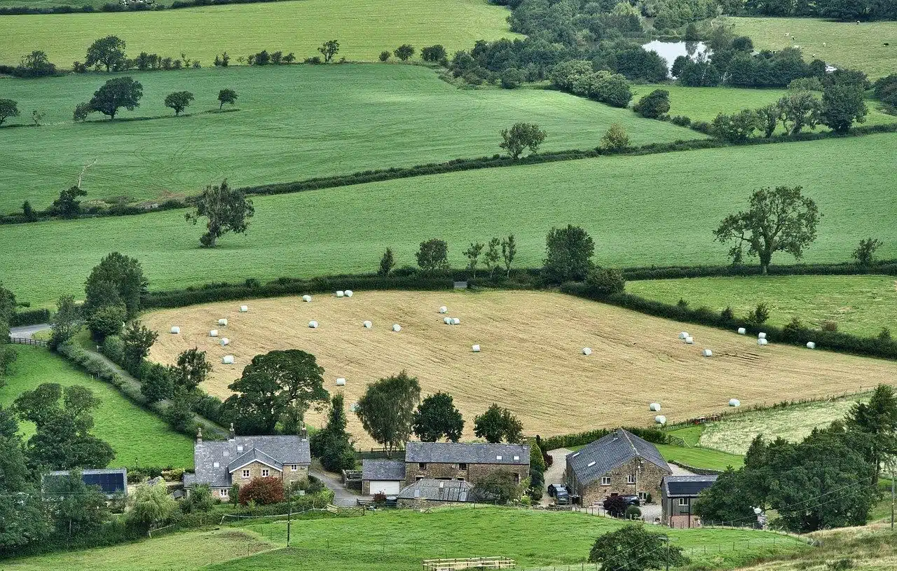 Sown lands