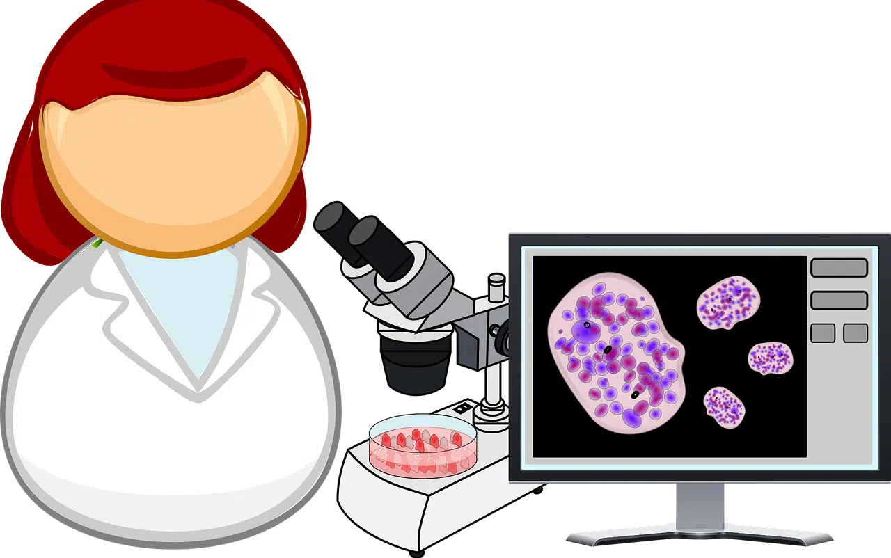 Cellular respiration