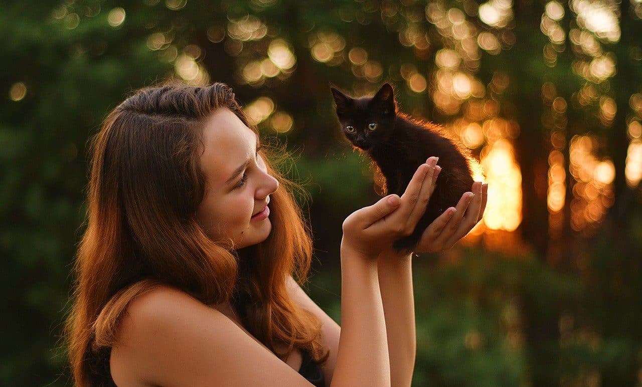 Woman holding a black kitten with her hands