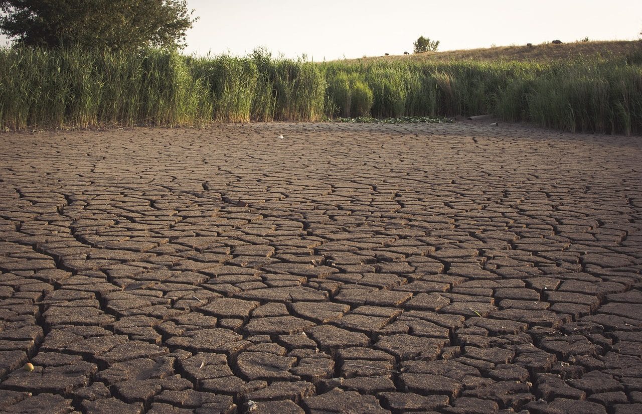 Water footprint