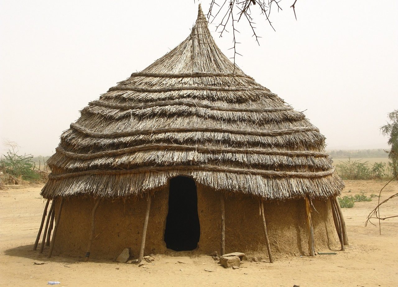 thatched roof house