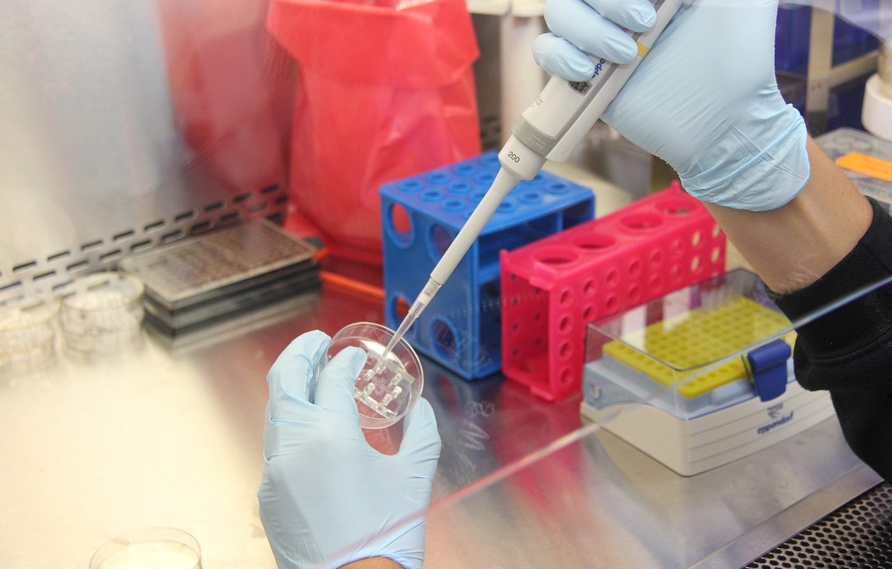 Scientist conducting experiments in laboratory