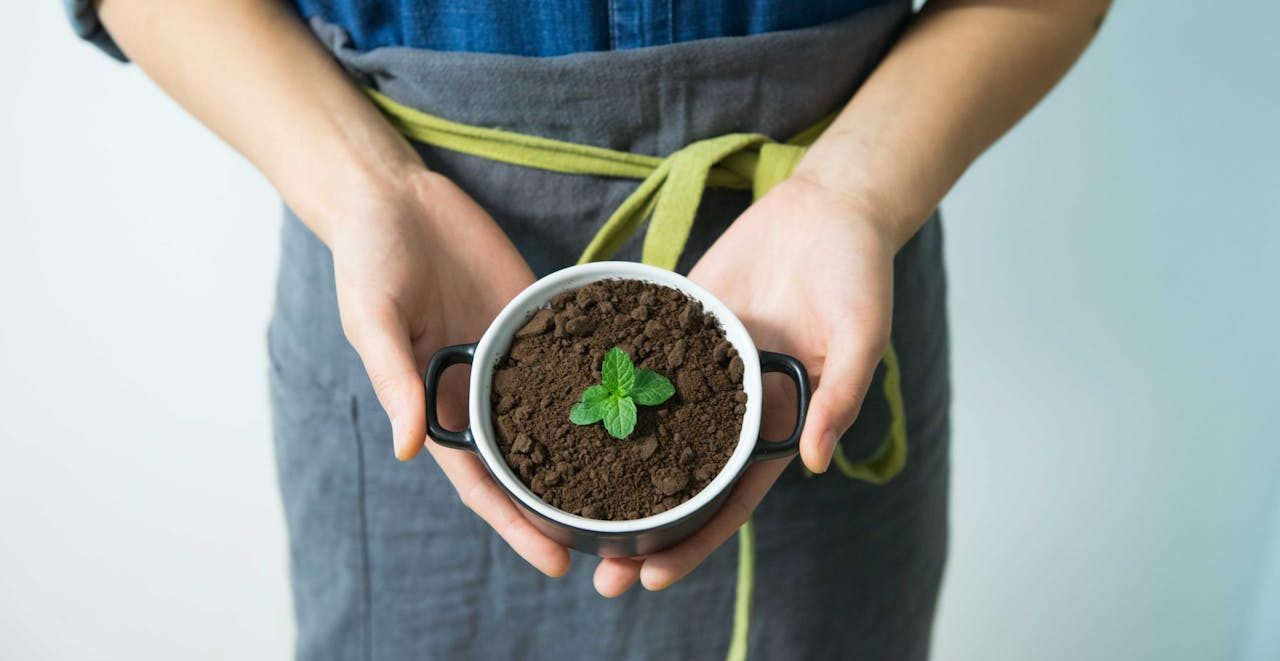 Woman holding small flower pot