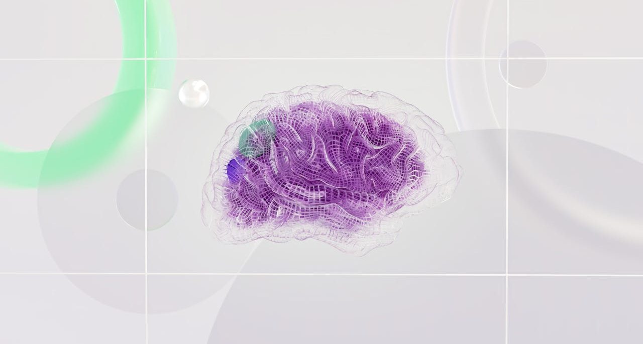 Brain in violet color