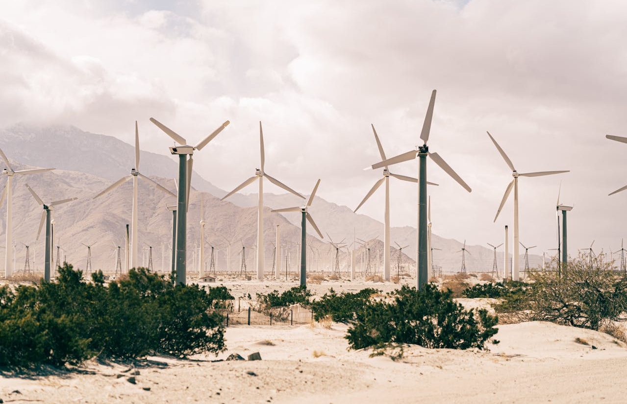 wind farm