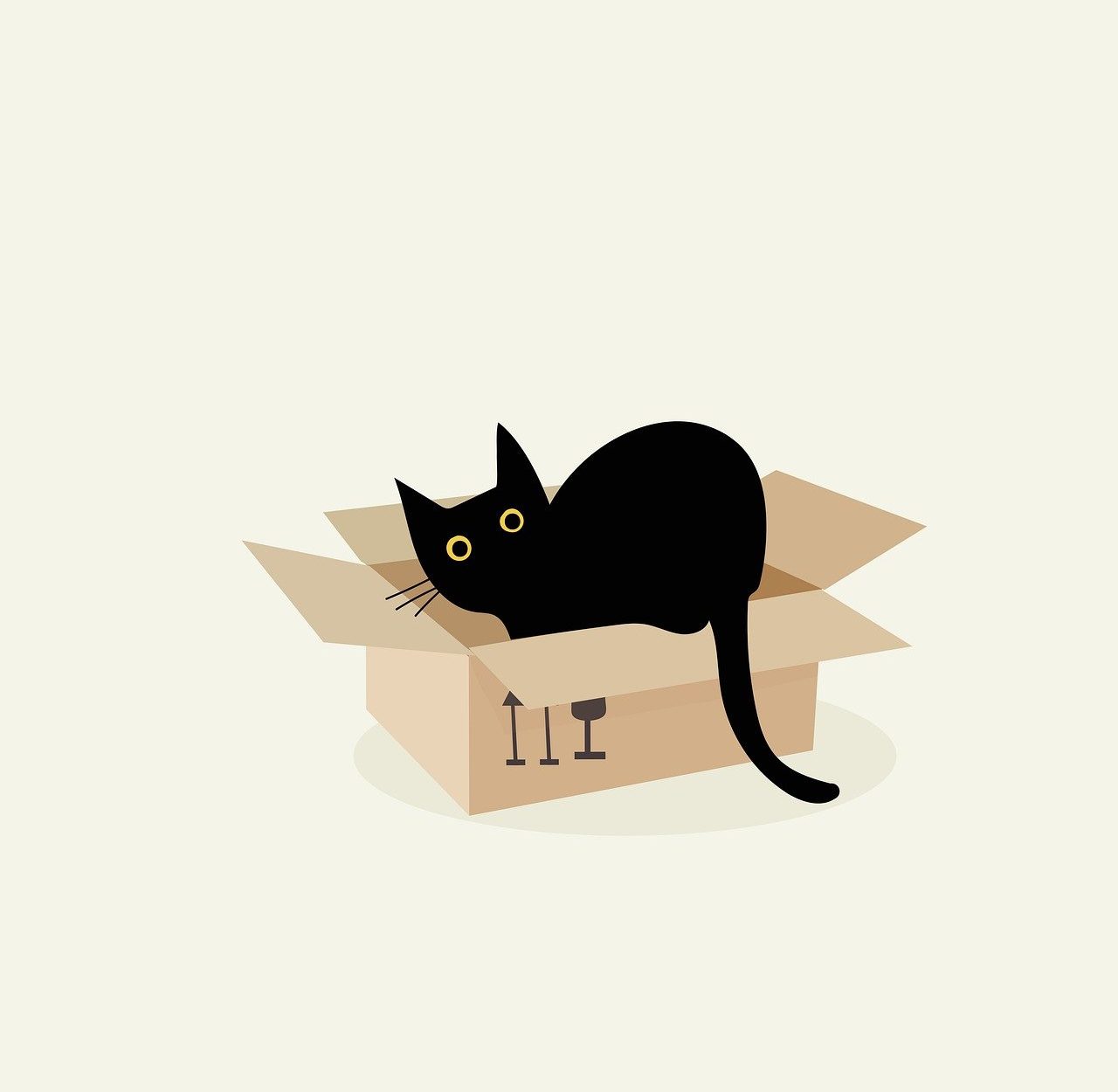 Schrödinger&#39;s cat