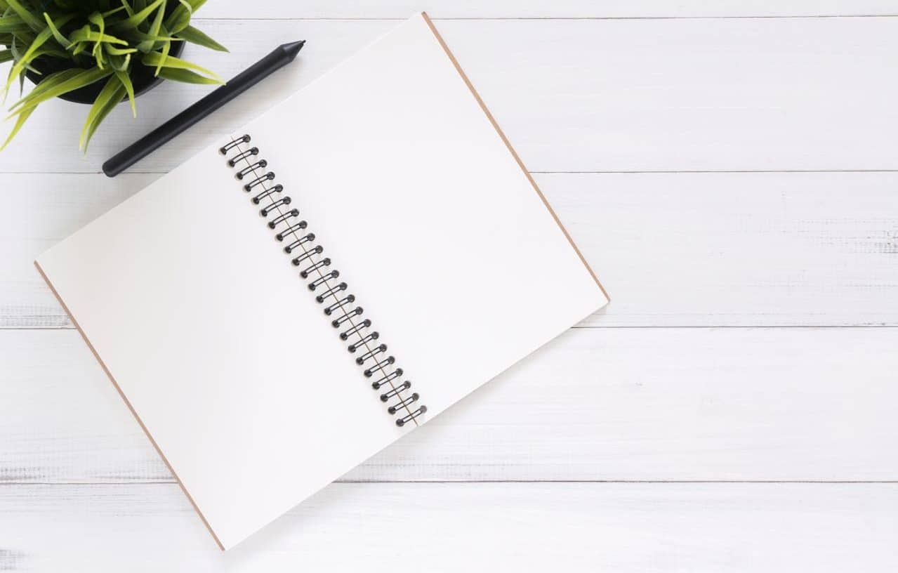 Notebook, pen and plant on a white table.