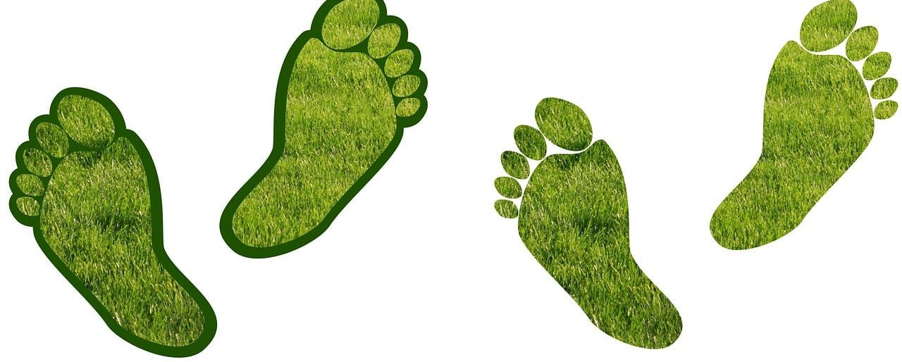 Footprints on the environment